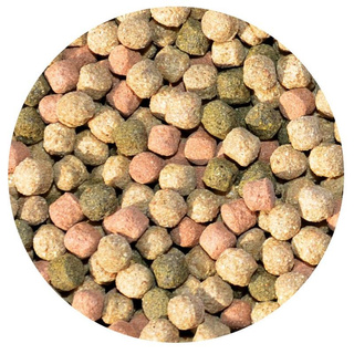 Super-Koi-Food Immun-Power fr die Gesundheit, 2 x 5 kg, 6 mm - ideal fr die Monate Oktober bis April