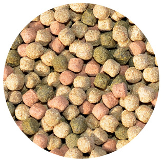 Super-Koi-Food Immun-Power fr die Gesundheit, 15 kg, 6 mm - ideal fr die Monate Oktober bis April