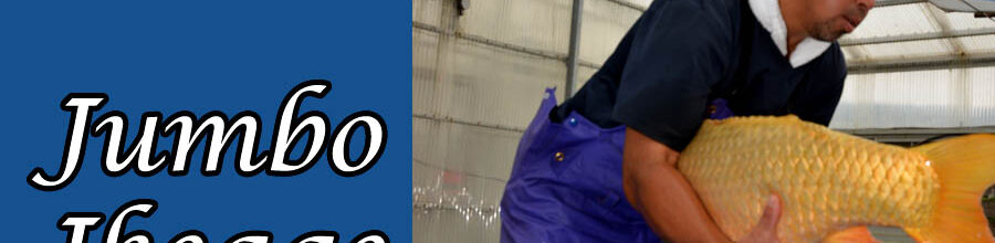 Jumbo Ikeage bei Marudo