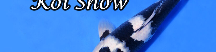 64th Nagaoka Koi-Show