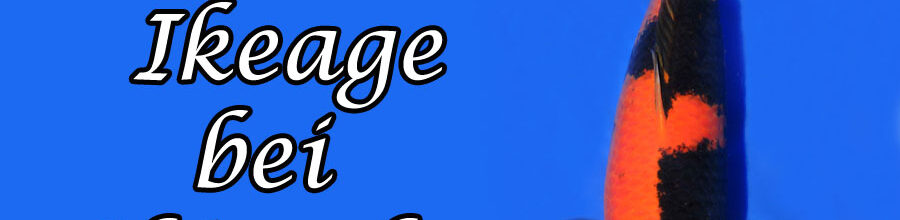 Nisai Ikeage bei Shinoda