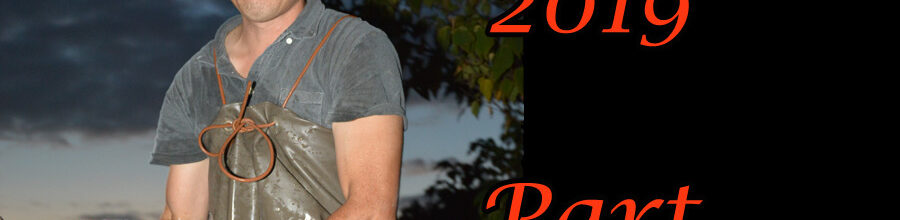 Japan-Koi-Selektion 2019 – Part 4